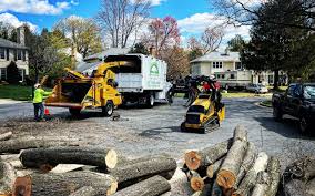 Best Lawn Grading and Leveling  in Boston Heights, OH