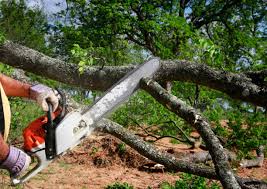 Best Storm Damage Tree Cleanup  in Boston Heights, OH