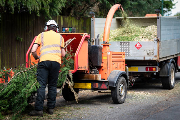Best Lawn Mowing  in Boston Heights, OH