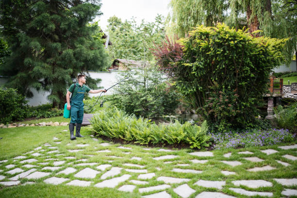 Best Soil Testing and Treatment  in Boston Heights, OH